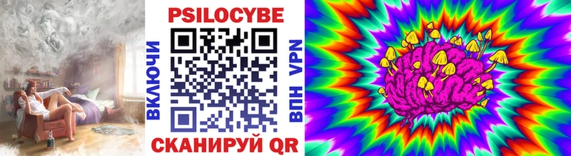 omg зеркало  Суровикино  shop состав  Псилоцибиновые грибы Cubensis 