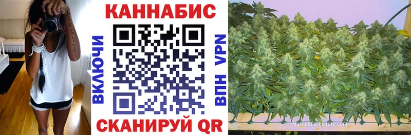 МАРИХУАНА ГИДРОПОН Суровикино